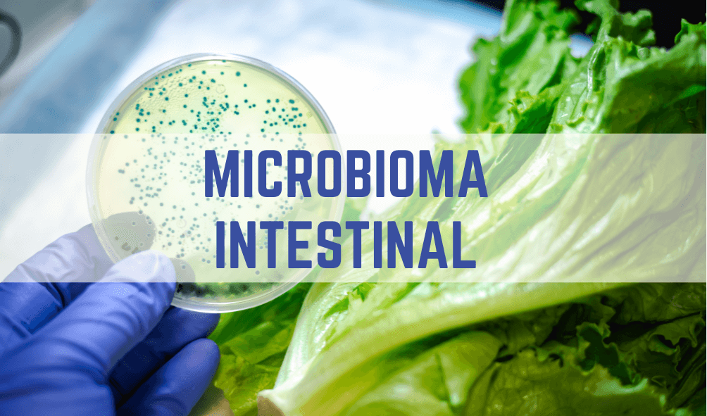 MICROBIOMA INTESTINAL