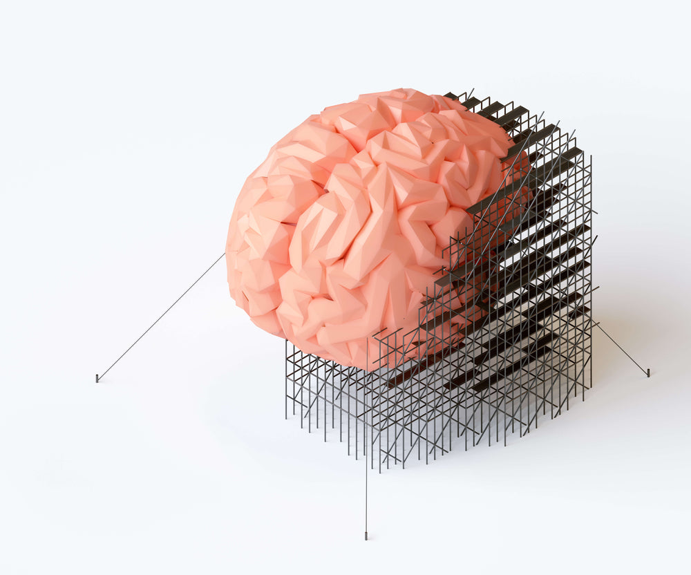 SOPORTE NEUROENDOCRINO