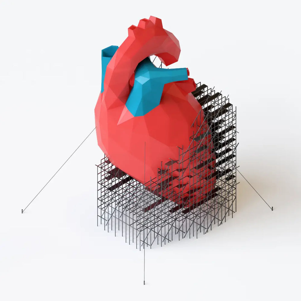 SOPORTE CARDIOMETABÓLICO