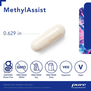 MethylAssist 90´s